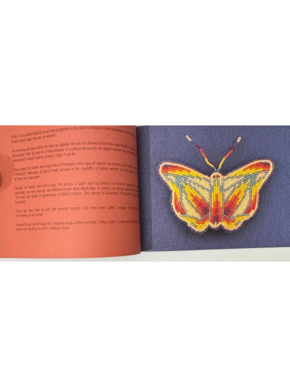 The Barrett project honoring native women survivors of sexual violence Minnesota - Picture 5 of 16